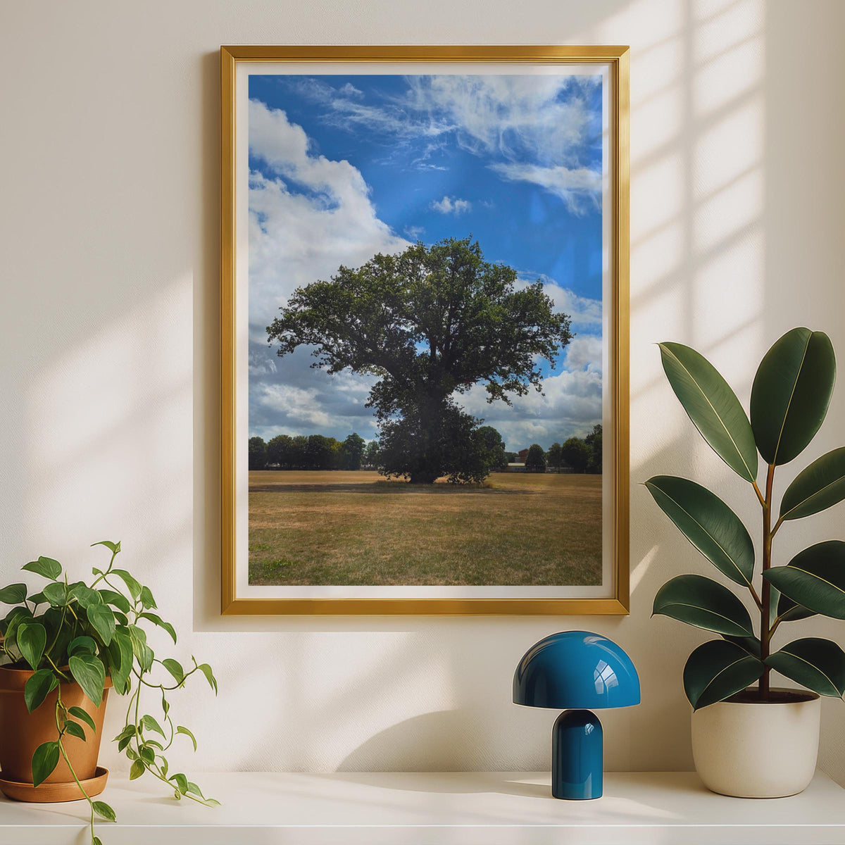Lone Oak Tree Photograph - image 2