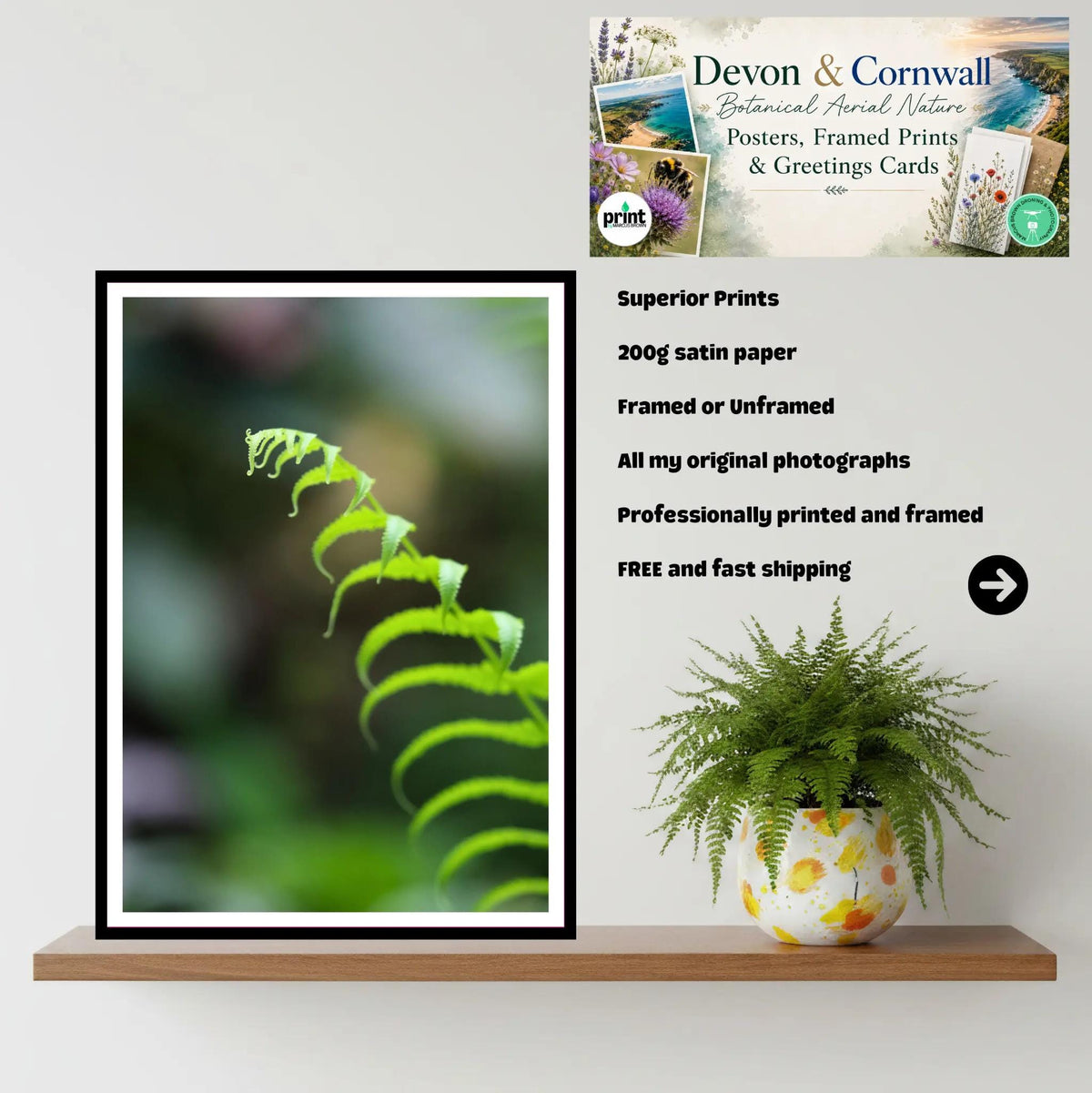 Delicate Fern Frond Close-Up - Eden Project Cornwall Wall Art Photography Print