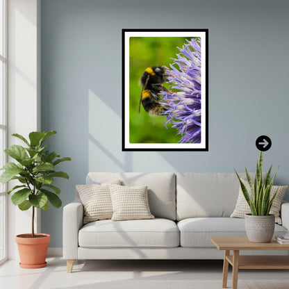 Macro Bumblebee Photography Print | Purple Floral Botanical Nature Decor