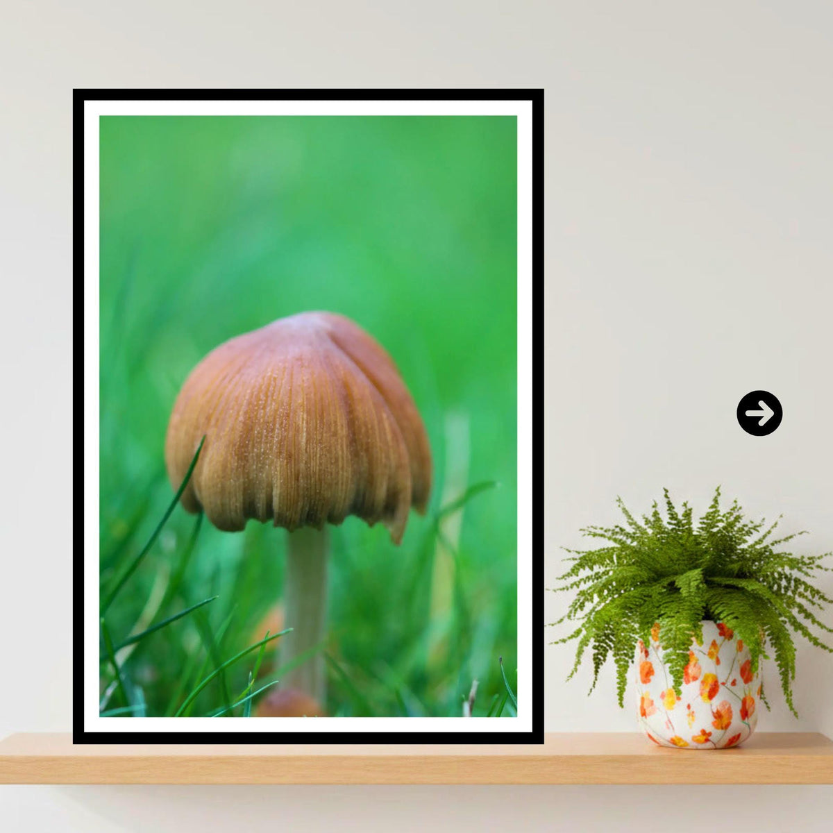 Pleated Inkcap Fungi Print | Botanical Mushroom Art, Nature Photography, Forest Decor, Archival Paper, FSC Certified, Unique Gift