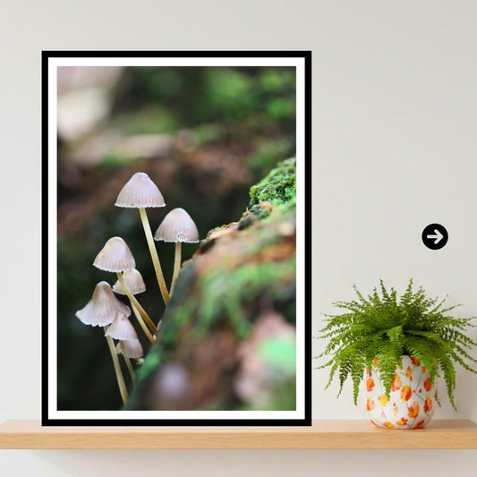 Bonnet Mushroom Fungi Print Art, Bioluminescent Nature Photography, Woodland Decor, Archival FSC Certified Poster, Unique Mycology Gift
