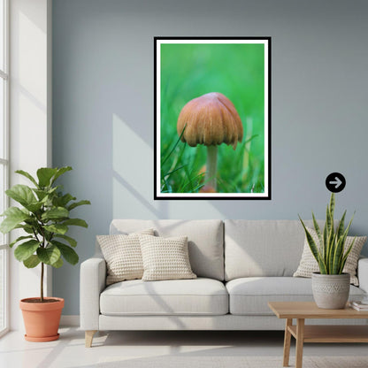 Pleated Inkcap Fungi Print | Botanical Mushroom Art, Nature Photography, Forest Decor, Archival Paper, FSC Certified, Unique Gift