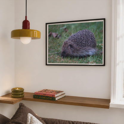 Hedgehog Poster, British Wildlife Wall Art, Garden Hedgehog Framed-Print, Nature Photography Print, Wildlife Lover Gift, Dusk Animal