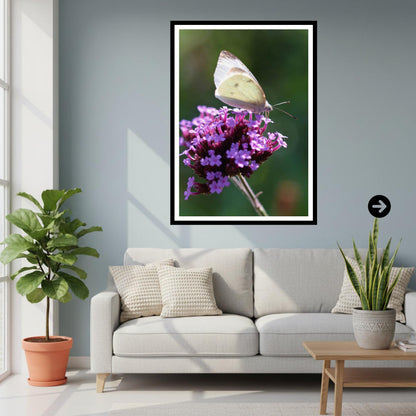 Small White Butterfly Print, Minimalist Nature Photography, Botanical Wall Art, Cottagecore Decor