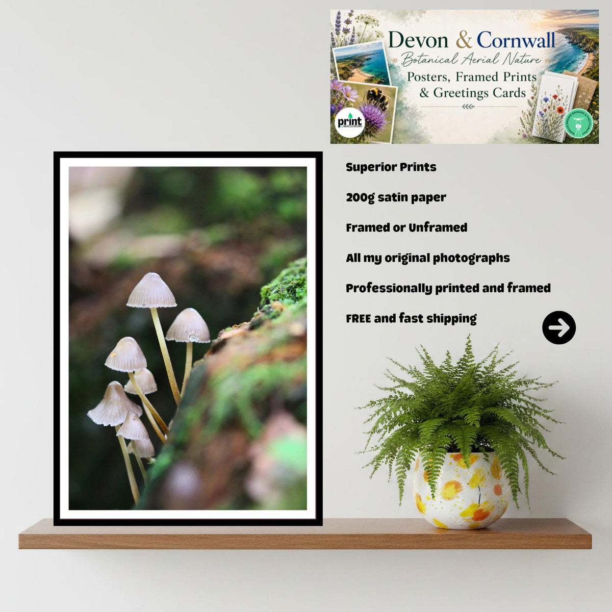 Bonnet Mushroom Fungi Print Art, Bioluminescent Nature Photography, Woodland Decor, Archival FSC Certified Poster, Unique Mycology Gift