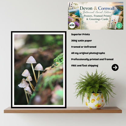 Bonnet Mushroom Fungi Print Art, Bioluminescent Nature Photography, Woodland Decor, Archival FSC Certified Poster, Unique Mycology Gift