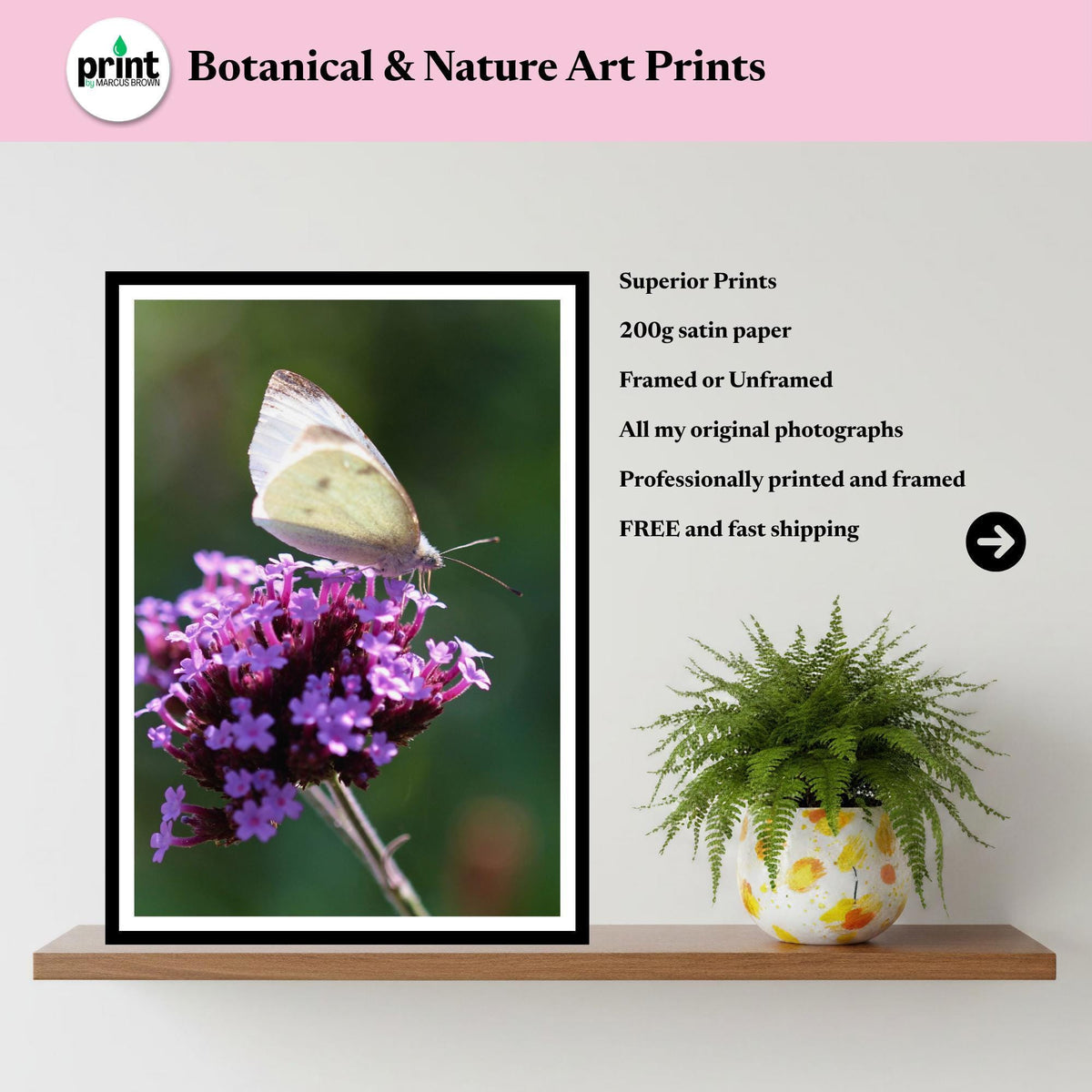 Small White Butterfly Print, Minimalist Nature Photography, Botanical Wall Art, Cottagecore Decor