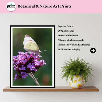 Small White Butterfly Print, Minimalist Nature Photography, Botanical Wall Art, Cottagecore Decor