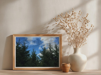 Evergreen Tree Canopy Poster - image 3