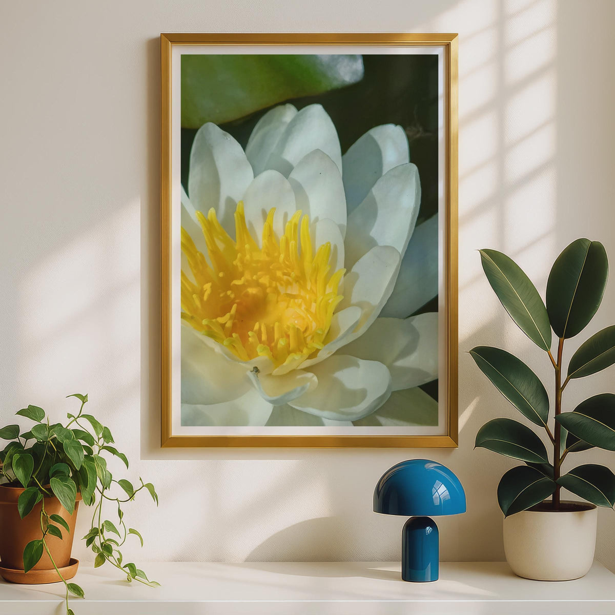 White Water Lily Poster, Yellow Stamen Floral Close Up Print, Botanical Wall Art, Pond Flower Photography, Nature Lover Gift, Calm Decor