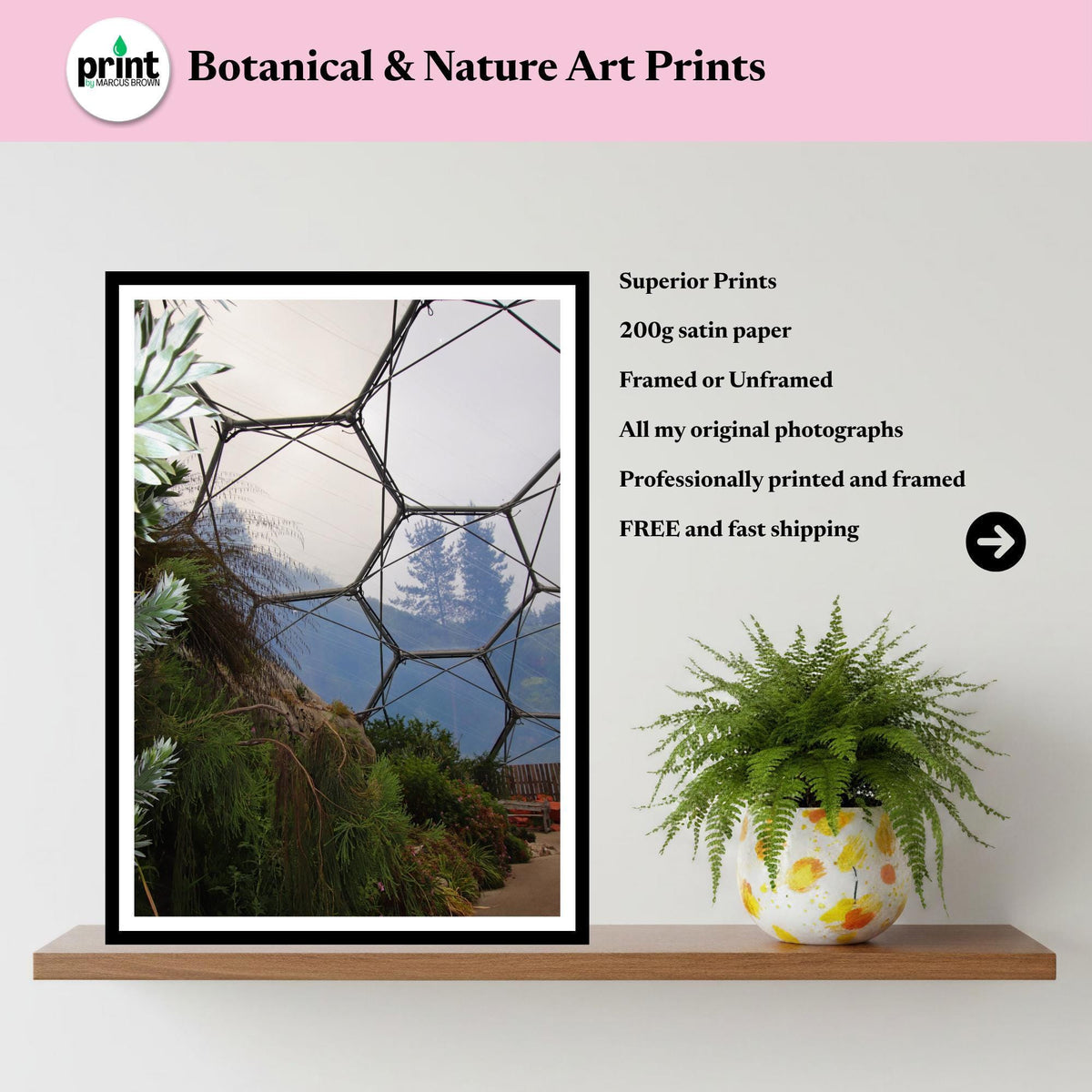 Eden Project Rainforest Biome Print Botanical Photography Nature Wall Art Inspired by Eden Collection
