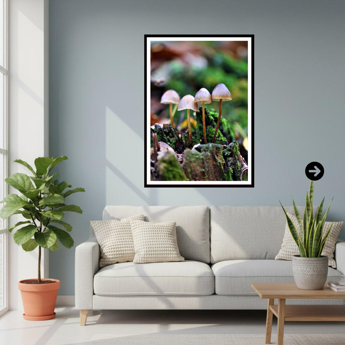 Common Bonnet Fungi Print Art, Mushroom Wall Decor, Nature Photography, Woodland Fungi Illustration, FSC Certified Archival Poster