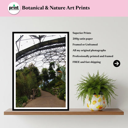 Eden Project Biome Print Botanical Garden Wall Art Nature Photography Inspired by Eden Collection