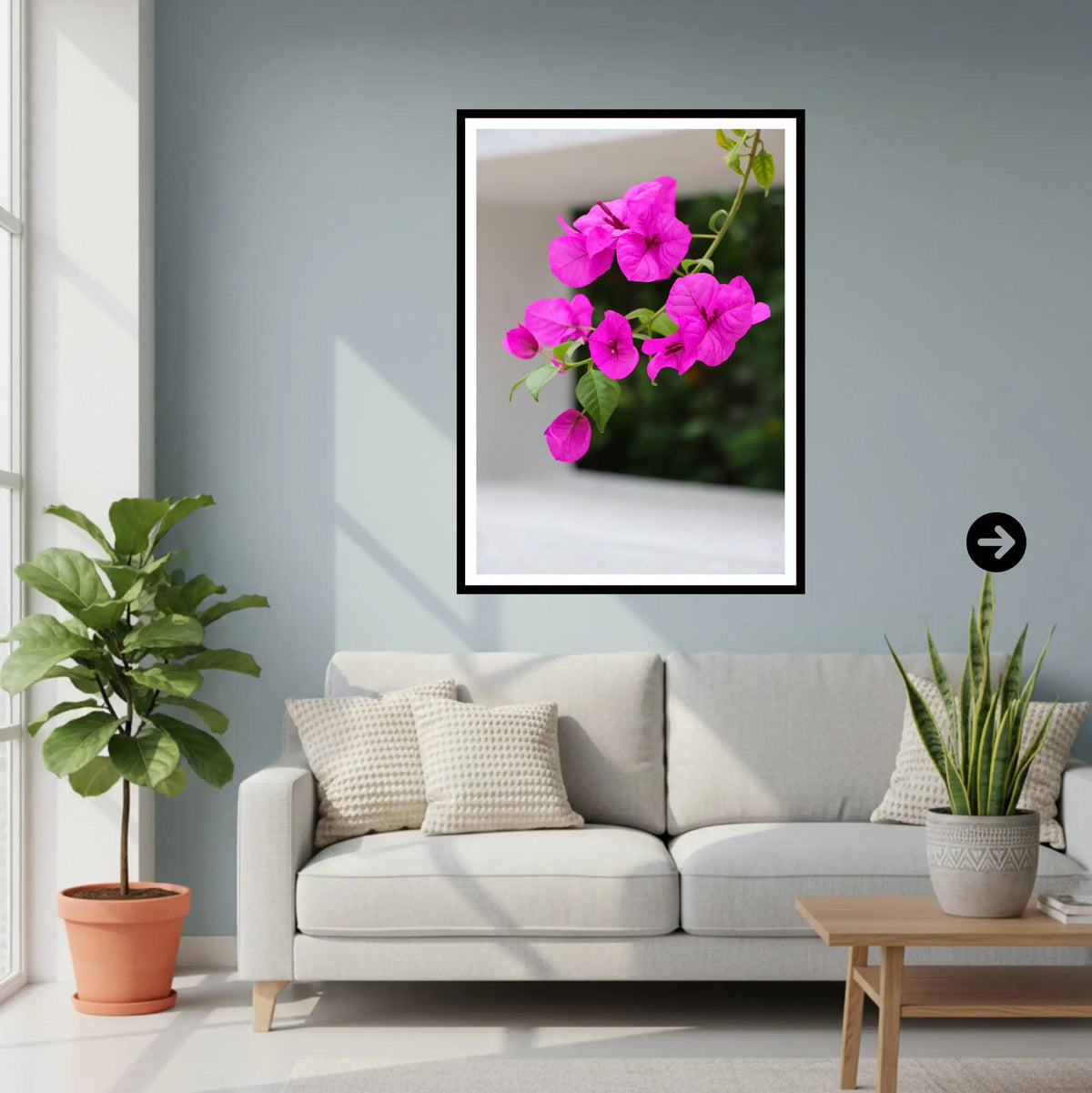 Pink Bougainvillea Branch - Eden Project Cornwall Wall Art Photography Print