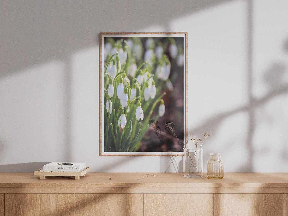 Snowdrop Flower Photography Print, White Spring Flowers Wall Art, Botanical Garden Poster, Nature Photo, Galanthus Floral Home Decor Gift
