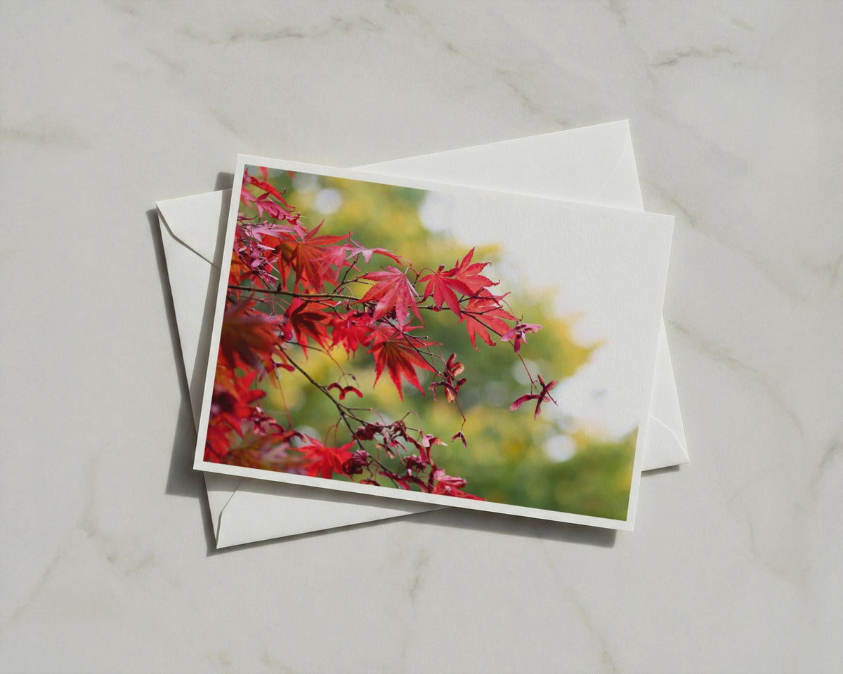 Japanese Maple Tree Poster, Red Acer Leaves Framed-Print, Botanical Wall Art, Autumn Foliage Nature Photography Print