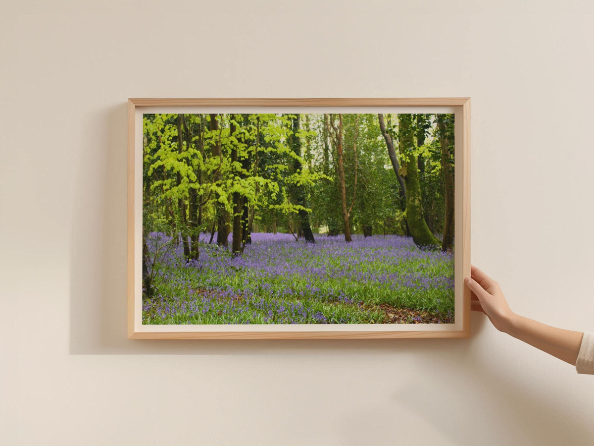 Bluebell Wood Poster, British Woodland Framed-Print, Purple Spring Forest Wall Art, Nature Photography, Green Trees Landscape Home Decor