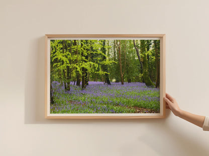 Bluebell Wood Poster, British Woodland Framed-Print, Purple Spring Forest Wall Art, Nature Photography, Green Trees Landscape Home Decor