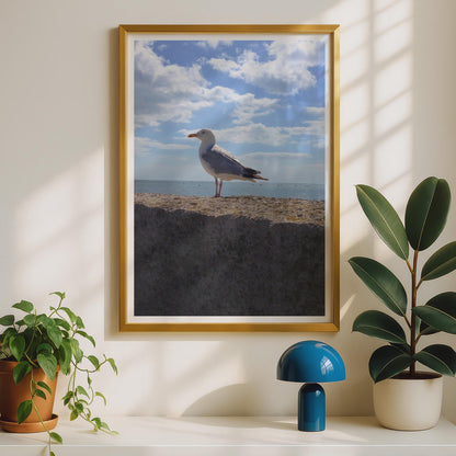 Seagull Coastal Photography Print, Seaside Bird Wall Art, Blue Sky Ocean Poster, Nautical Wildlife Photo Print for Beach House Decor