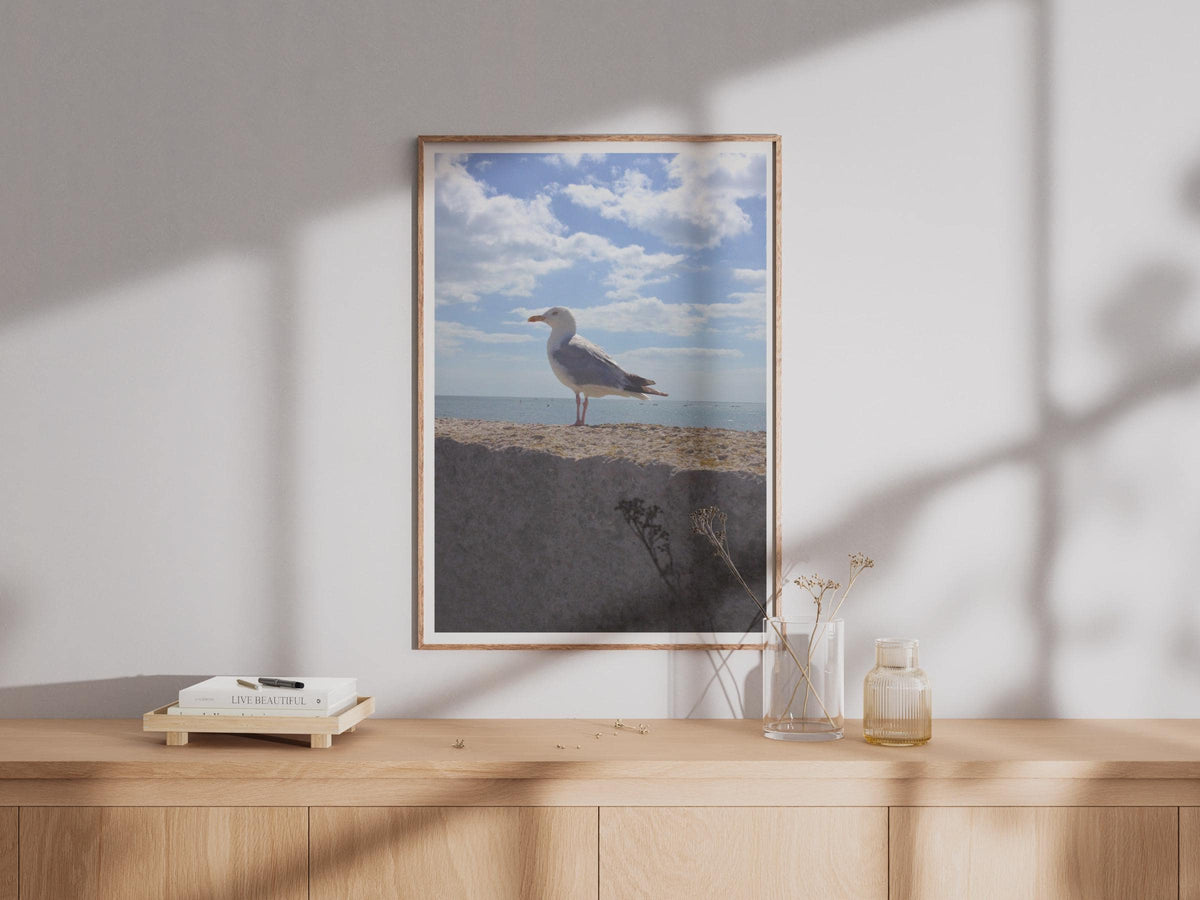 Seagull Coastal Photography Print, Seaside Bird Wall Art, Blue Sky Ocean Poster, Nautical Wildlife Photo Print for Beach House Decor