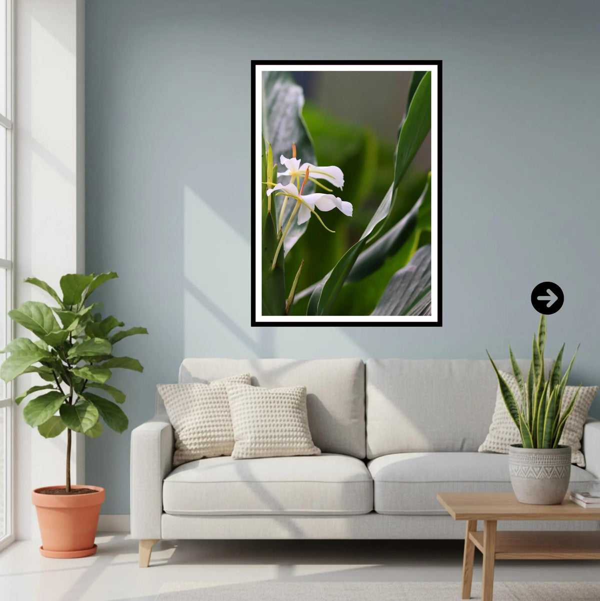 White Ginger Flower at Eden Project Cornwall — Botanical Wall Art Photography Print