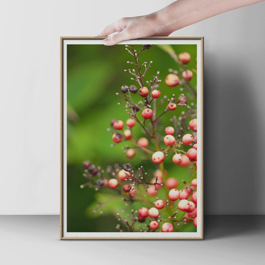 Red Berries Botanical Poster, Nature Photography Print, Berry Branch Wall Art, Green Bokeh, Autumn Garden Decor, Close-Up Plant Photo Print