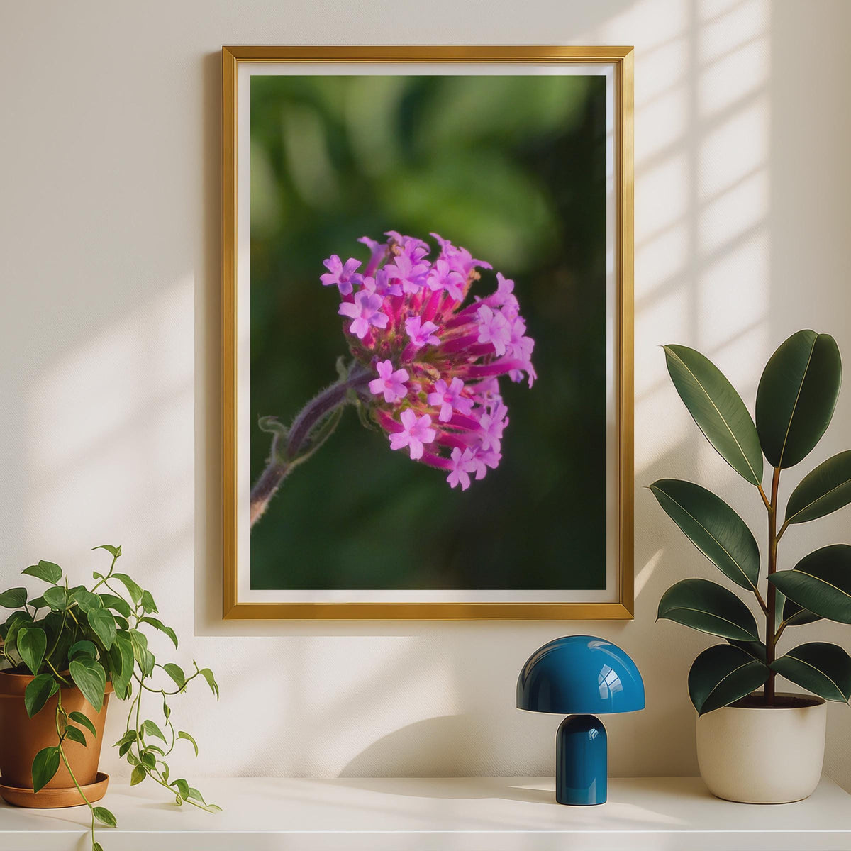Verbena Flower Macro Photography Print, Pink Purple Botanical Wall Art, Garden Floral Poster, Nature Close Up Photo Print for Home Decor