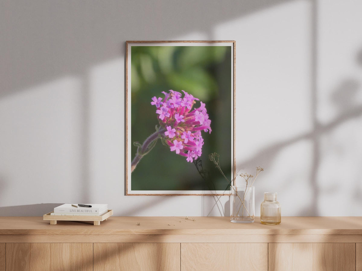 Verbena Flower Macro Photography Print, Pink Purple Botanical Wall Art, Garden Floral Poster, Nature Close Up Photo Print for Home Decor