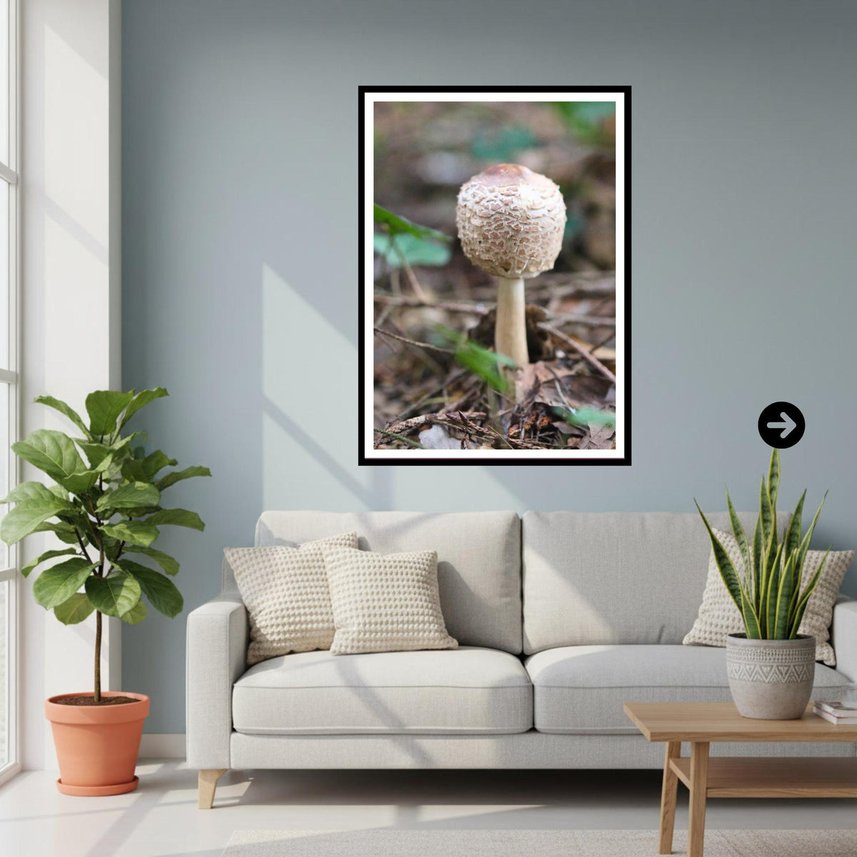 Parasol Mushroom Fungi Print Art, Woodland Nature Photography, Botanical Poster, Archival Paper, Unique Forest Decor, Mycology Art