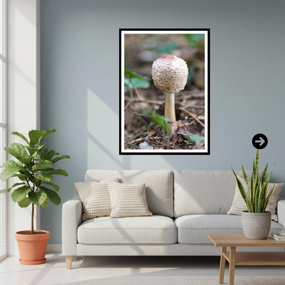Parasol Mushroom Fungi Print Art, Woodland Nature Photography, Botanical Poster, Archival Paper, Unique Forest Decor, Mycology Art