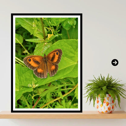 Gatekeeper Butterfly Print, Orange Wildlife Nature Photography, Botanical Garden Wall Art