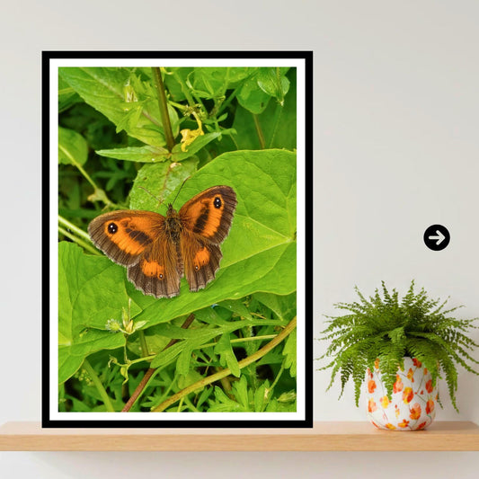 Gatekeeper Butterfly Print, Orange Wildlife Nature Photography, Botanical Garden Wall Art