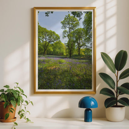 Bluebell Wood Photography Print - image 2