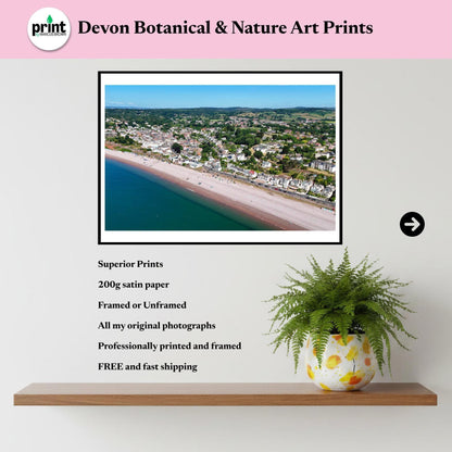 Budleigh Salterton Drone Photograph, Devon Coastal Wall Art, Jurassic Coast Print