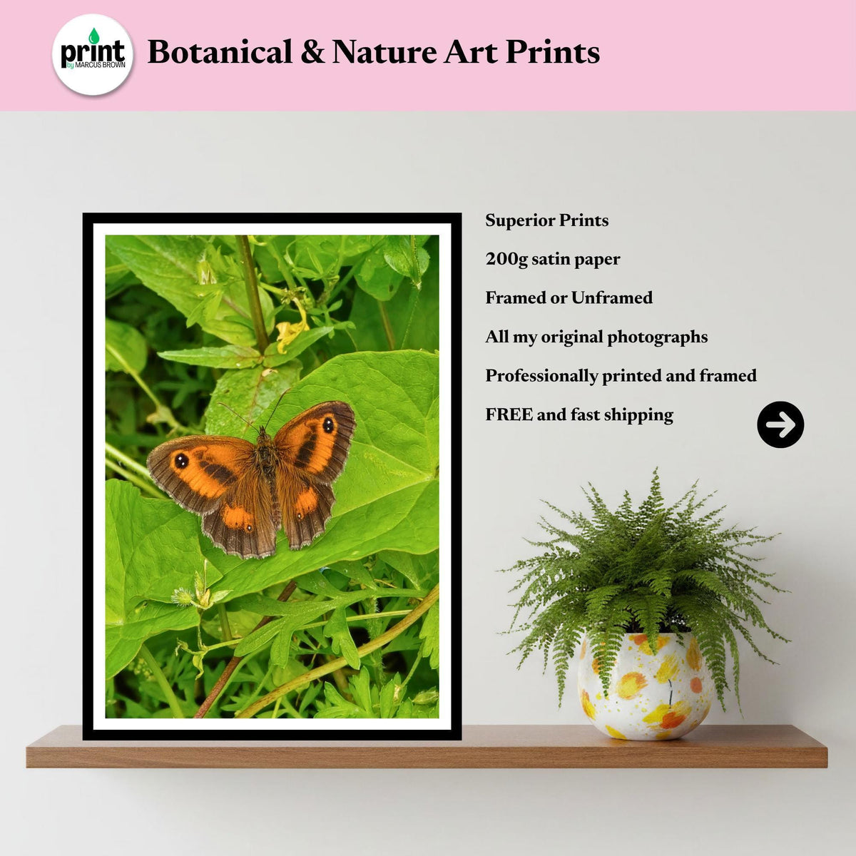 Gatekeeper Butterfly Print, Orange Wildlife Nature Photography, Botanical Garden Wall Art