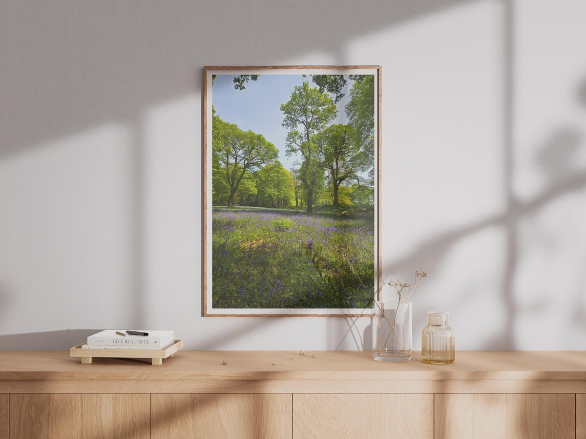 Bluebell Wood Photography Print - image 4