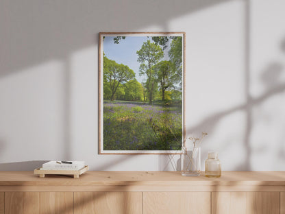 Bluebell Wood Photography Print - image 4
