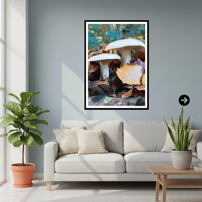 Clouded Funnel Fungi Print Art | Mushroom Nature Photography | Fungi Wall Decor | Botanical and Woodland Print on Archival Paper