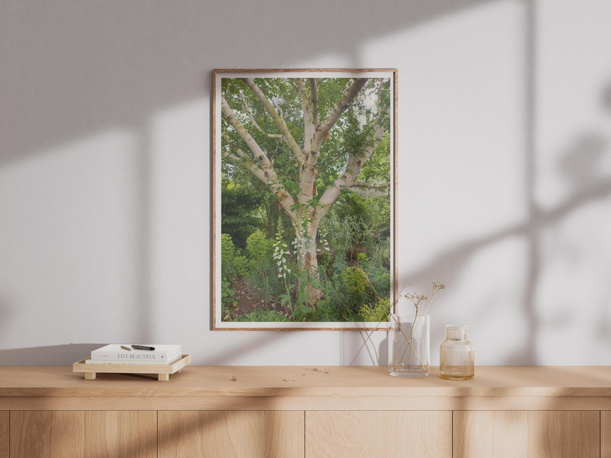 Silver Birch Tree Poster, White Foxglove Garden Print, Botanical Wall Art, Nature Photography, Green Garden Decor, Woodland Botanical Print