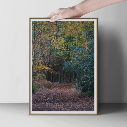 Autumn Forest Path Poster, Woodland Walk Wall Art, Fall Trees Photography Print, Nature Landscape, Earthy Tones Home Decor, Portrait Print