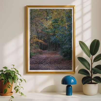Autumn Forest Path Poster - image 2