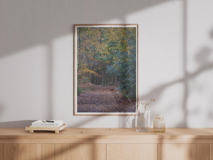 Autumn Forest Path Poster - image 4