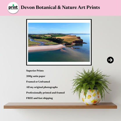 Aerial River Otter Estuary Print, Budleigh Salterton Coastal Landscape Photography