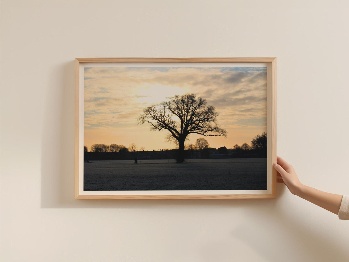 Winter Tree Silhouette Sunset Landscape Poster, Bare Oak Framed-Print, Golden Sky Nature Wall Art, Frosty Morning Park Photography Print