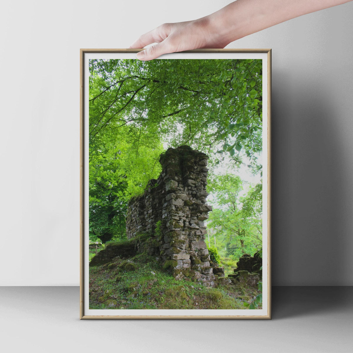 Ancient Stone Ruin in Forest Poster, Mossy Wall Art, Green Woodland Photography Print, Nature Landscape, Gothic Rustic Home Decor