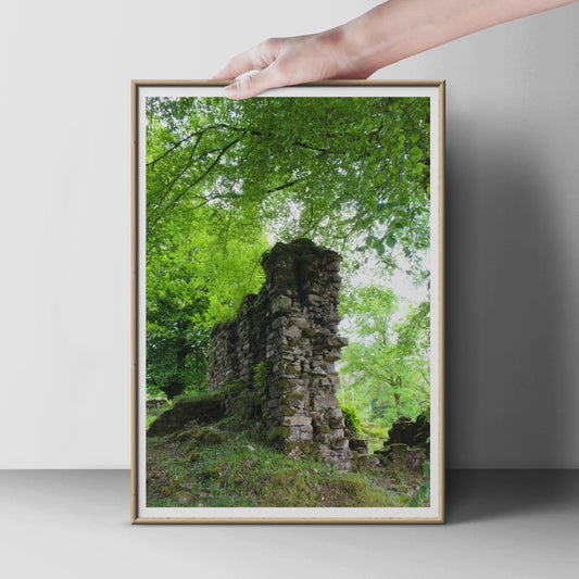 Ancient Stone Ruin in Forest Poster, Mossy Wall Art, Green Woodland Photography Print, Nature Landscape, Gothic Rustic Home Decor