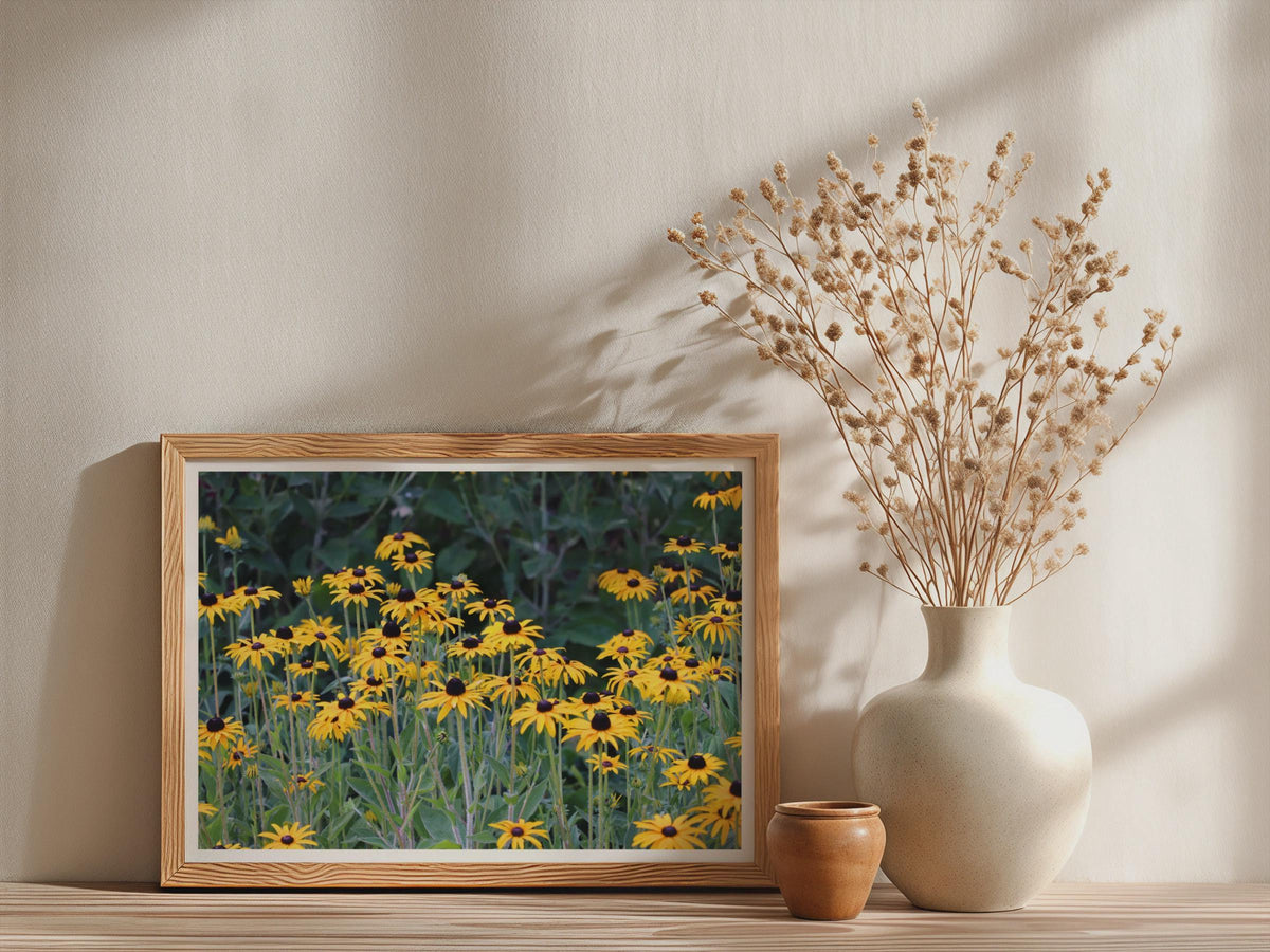 Black Eyed Susan Poster, Yellow Rudbeckia Flower Wall Art, Botanical Garden Framed-Print, Wildflower Floral Decor, Nature Photography Print