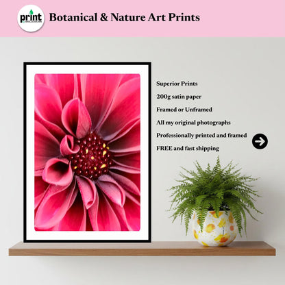 Red Velvet Dahlia Macro Print, Moody Botanical Wall Art, Deep Flower Photography