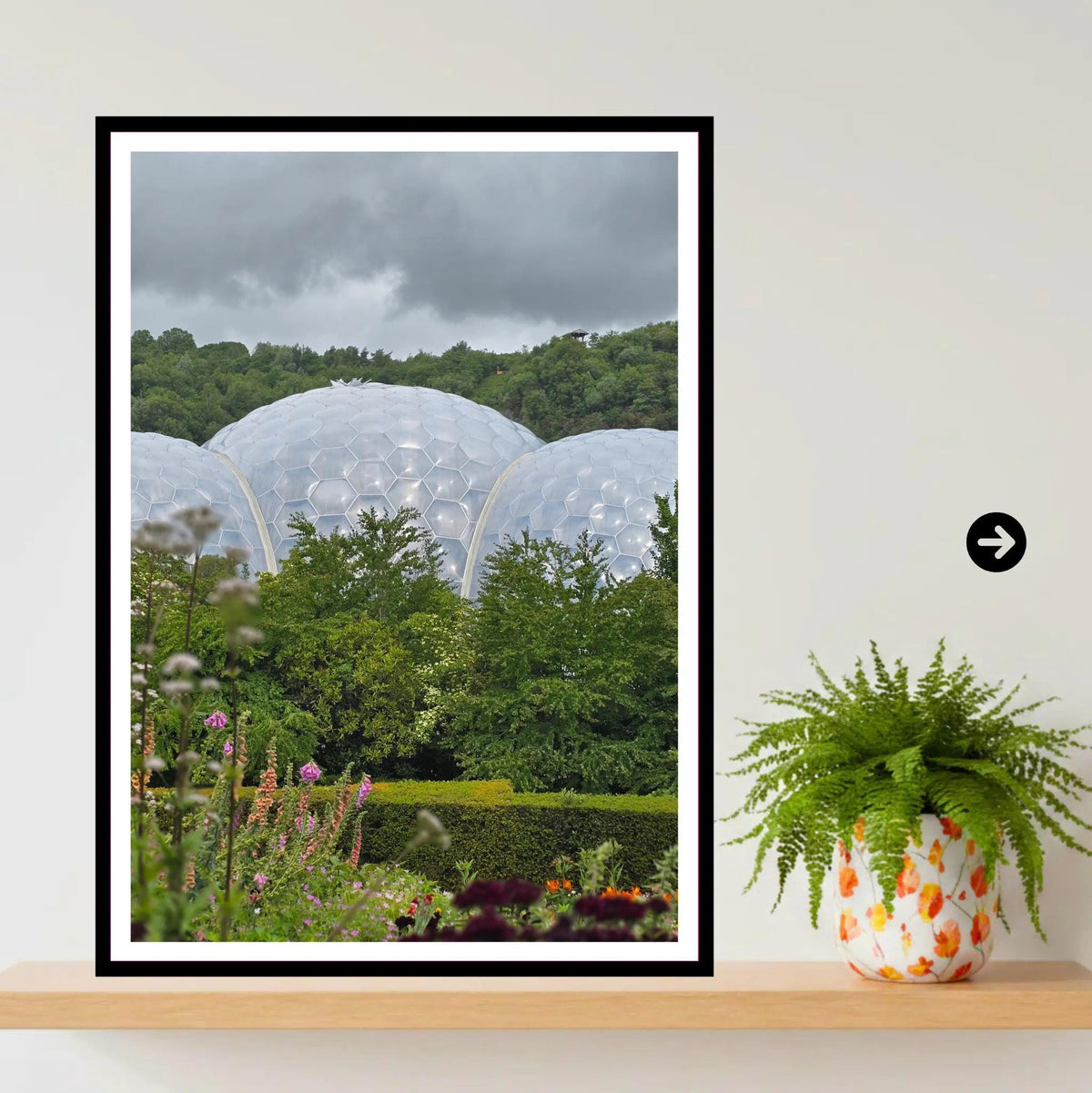 Eden Project Biomes with Garden Foreground, Cornwall Wall Art Photography Print