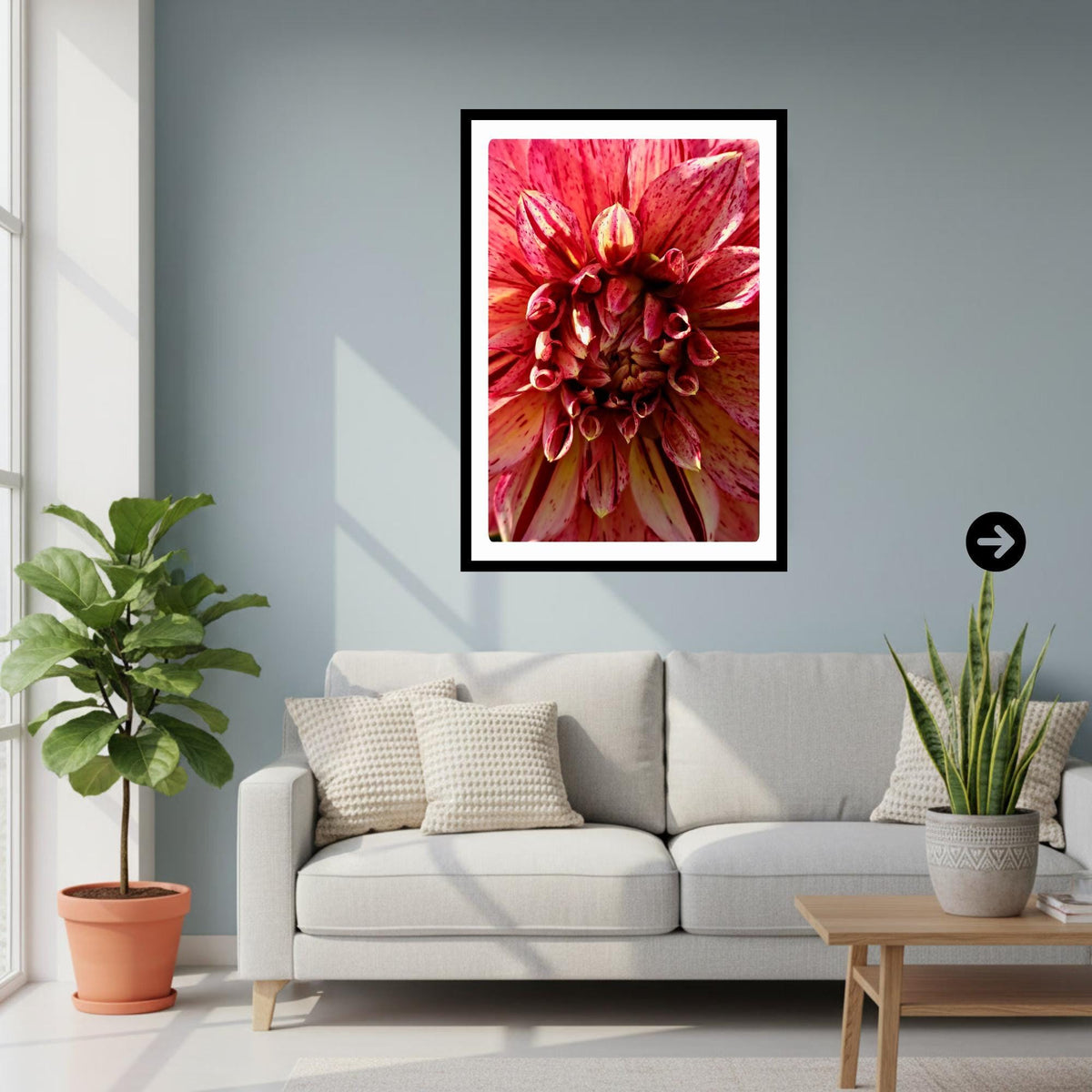 Pink Cream Dahlia Macro Print | Vibrant Speckled Botanical Wall Art